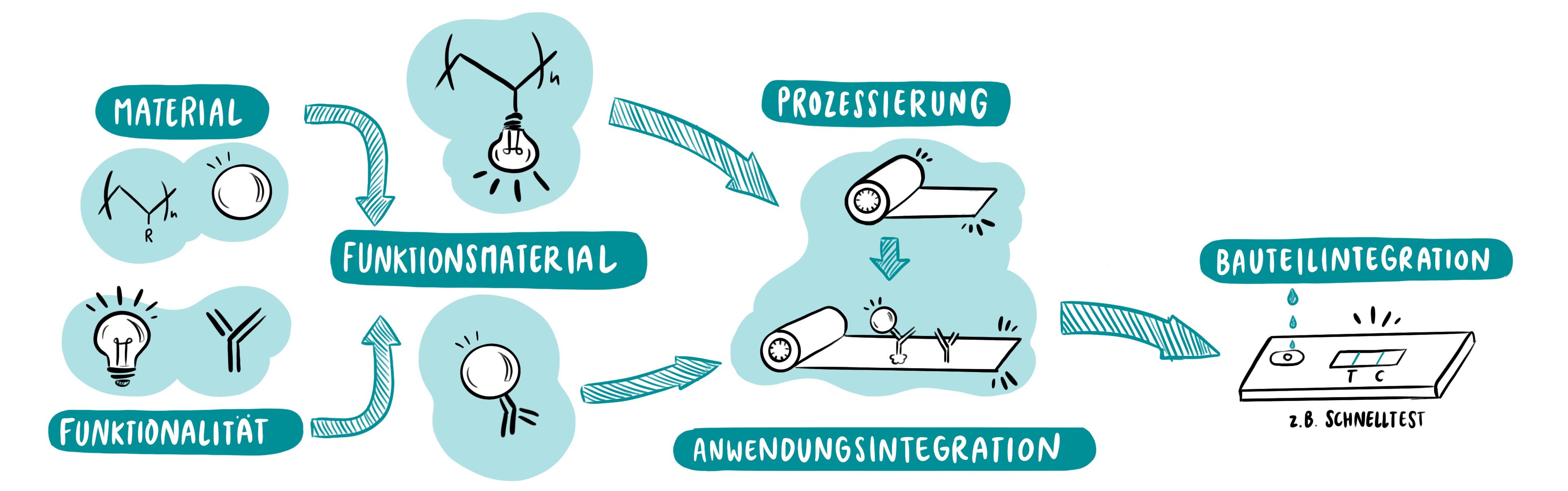 Joint Lab Biofunktionale Materialien (BioF) | Wertschöpfungskette